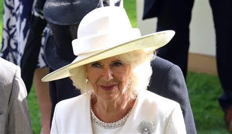 camilla wears dior|duchess camilla dior.